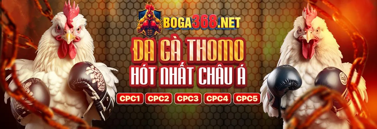 Đá gà trực tiếp casino 2026 sôi động