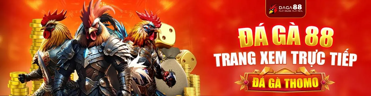 Hỗ trợ đá gà trực tiếp casino