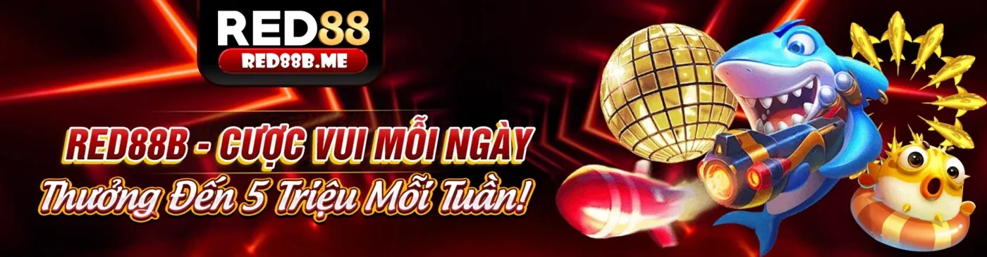 Hướng dẫn đặt cược đá gà trực tiếp casino